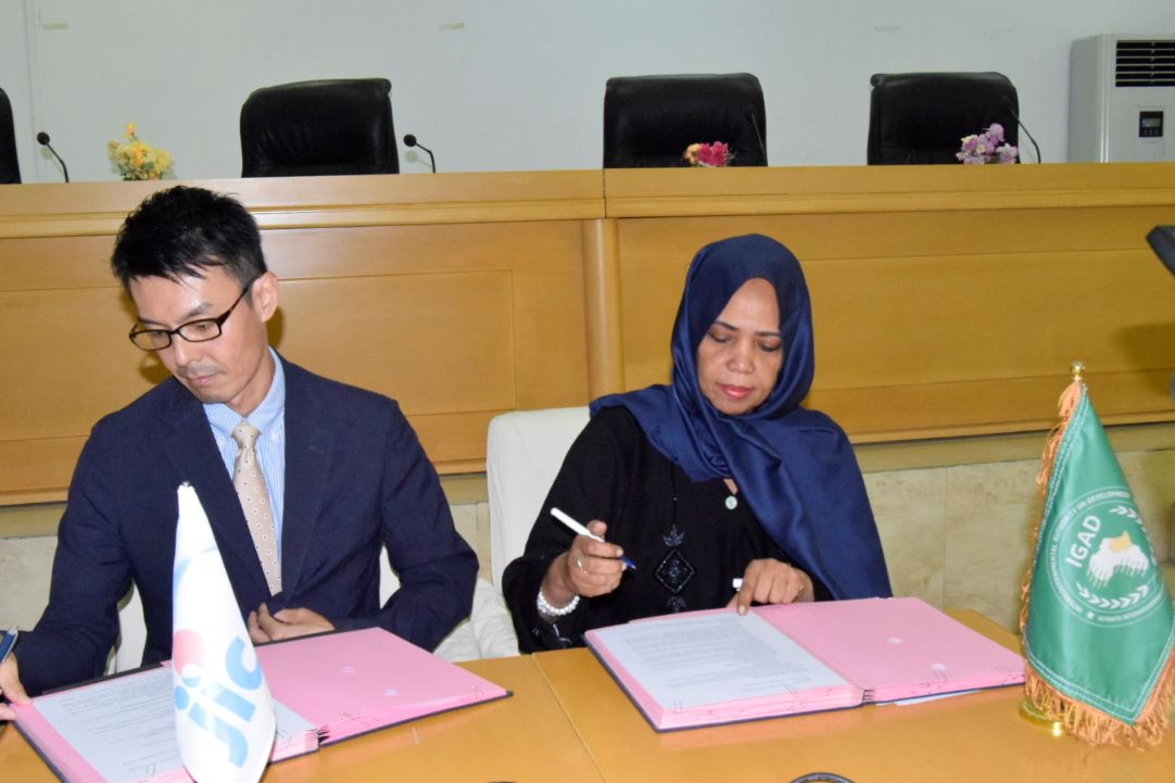 Lancement d’un programme de formation entre l’IGAD et la JICA