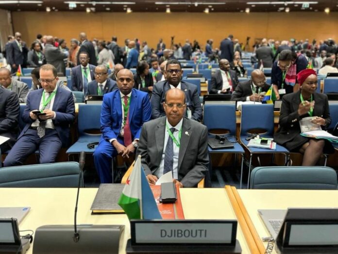 Le chef de la diplomatie djiboutienne (1)