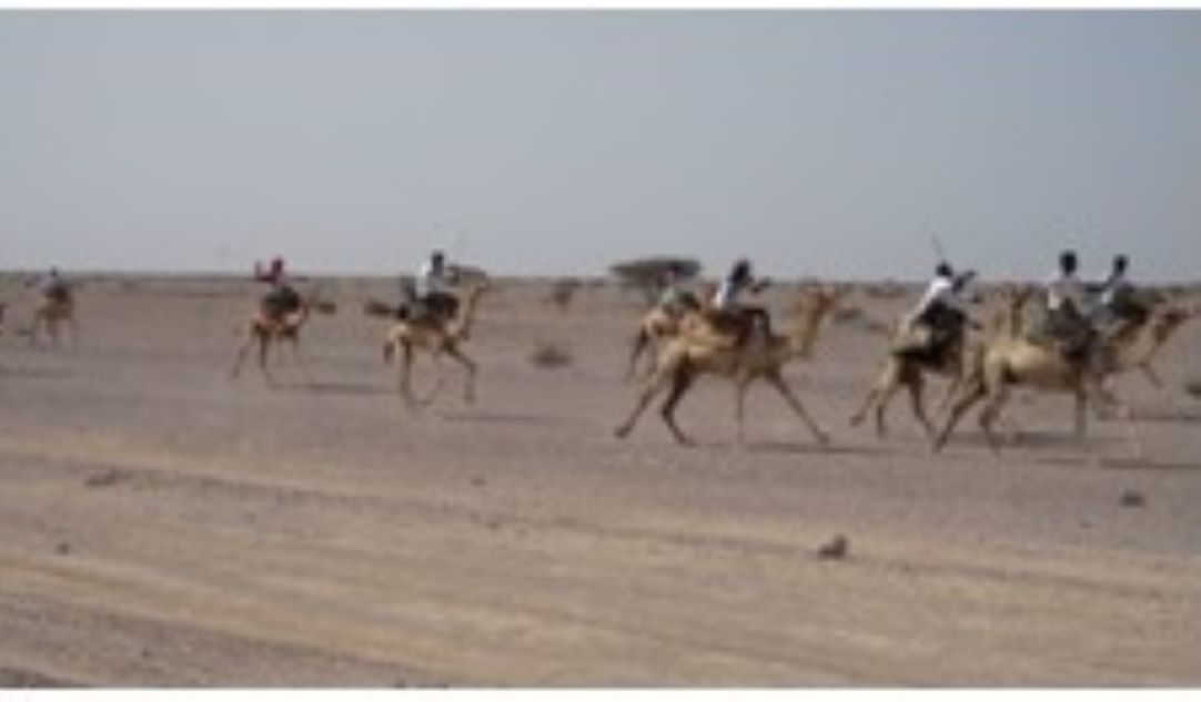 Jeux d'été : Le nord participe à son tour à la fête estivale