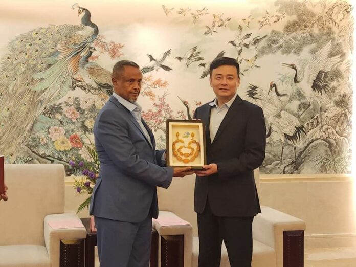 Visite de la municipalité de Djibouti à l’hôtel de ville de Ningbo (1)
