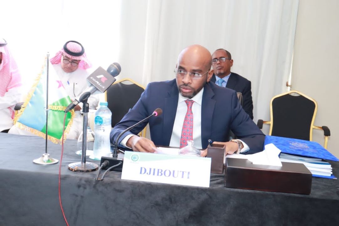20ème Réunion des ministres de la PERSGA : Après deux années à la tête du PERSGA, Djibouti passe le témoin à l’Egypte