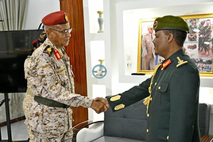 Le chef d'état-major général des Armées reçoit le chef principal du renseignement de défense d’Ethiopie (1)