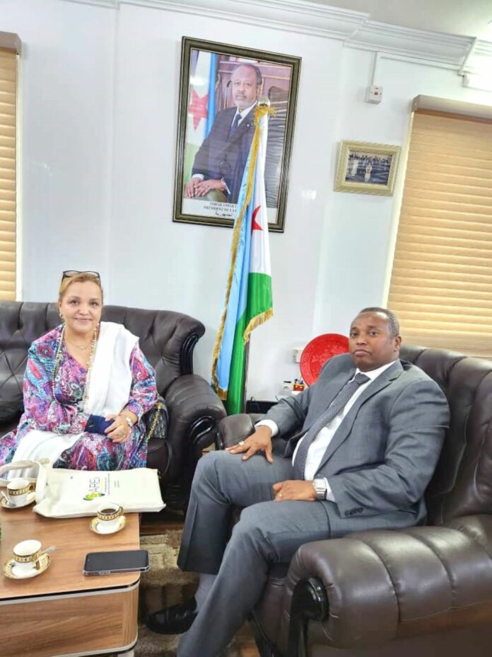 Le ministre de l'Energie reçoit la Directrice de l'Initiative Africaine sur les (2)