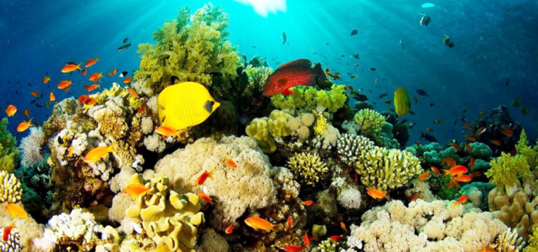 Les atouts de Djibouti