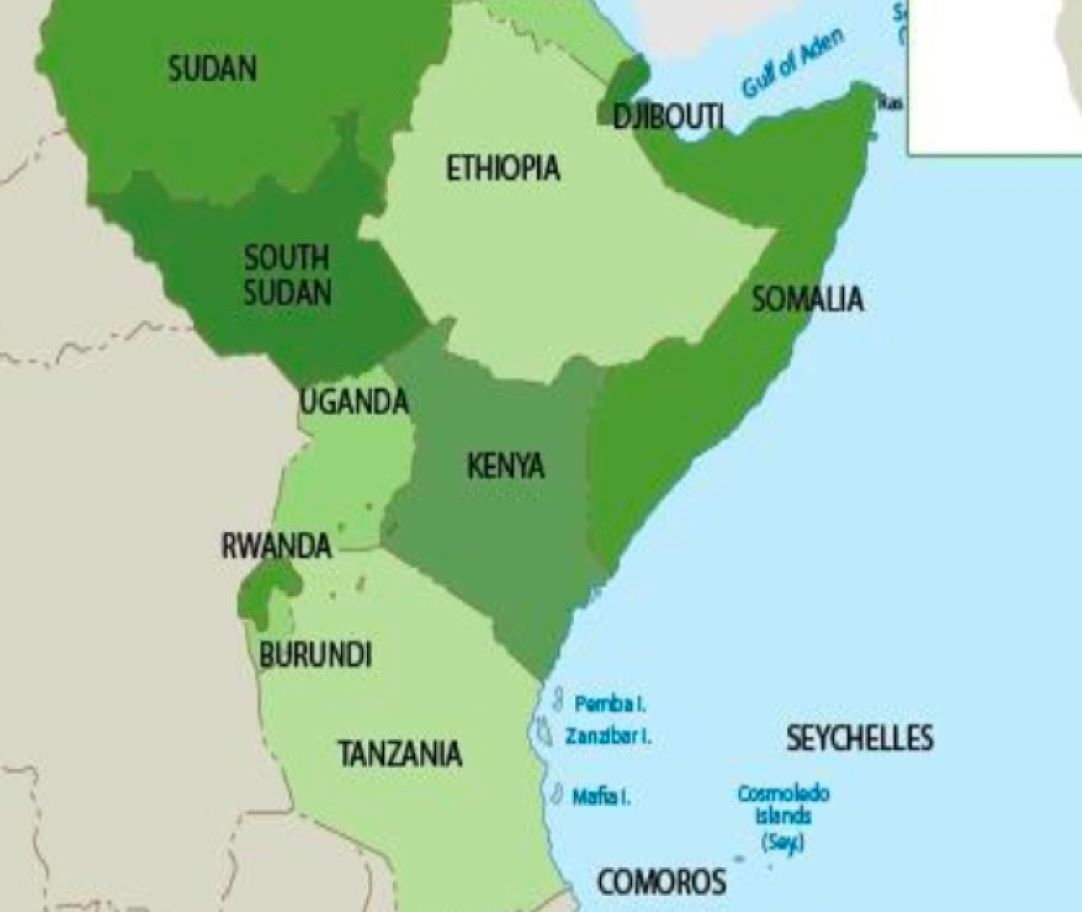 Perspectives économiques régionales L’Afrique de l’Est devrait être championne de la croissance en 2023-2024