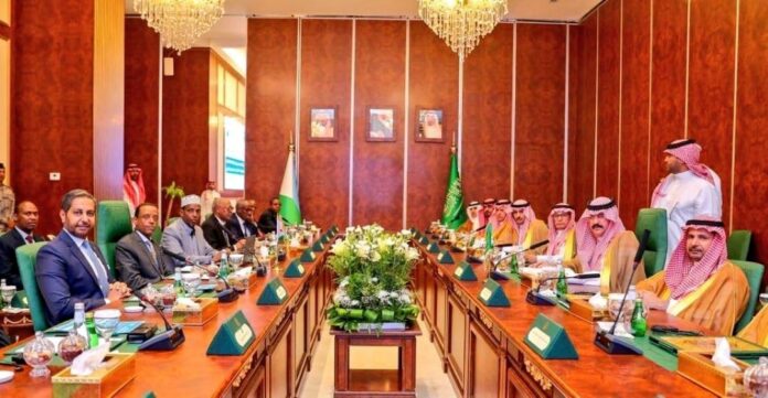 Djibouti et Ryad réaffirment leur volonté de travailler ensemble pour relever le défi sécuritaire (1)