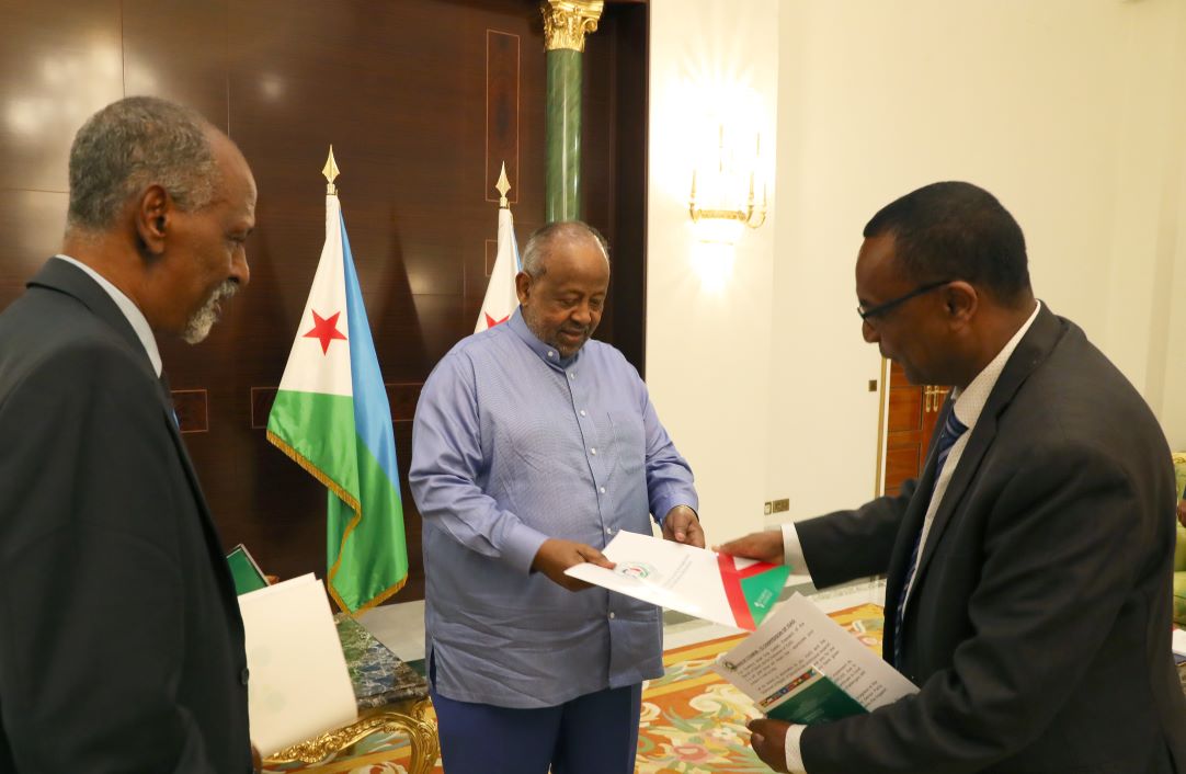 Le Président Guelleh en conférence avec les dirigeants de l'IGAD sur le Soudan du Sud