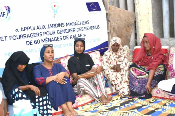 Le projet « Appui aux jardins maraichers et fourragers de Kalaf », dans la (1)