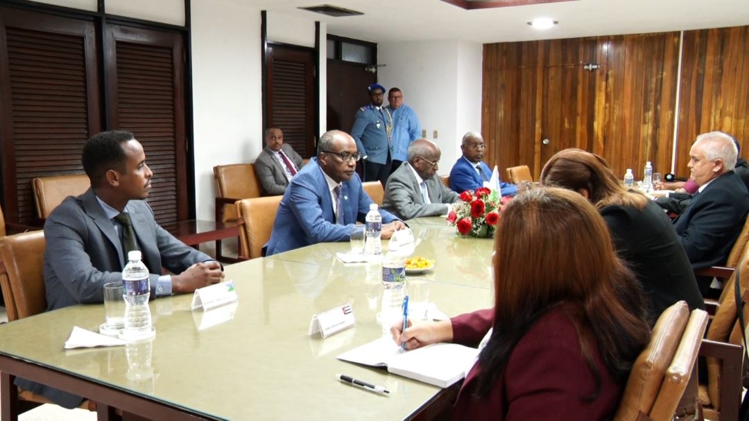 Rencontre du Premier ministre Abdoulkader Kamil Mohamed avec le chef du département des relations extérieures du PCC