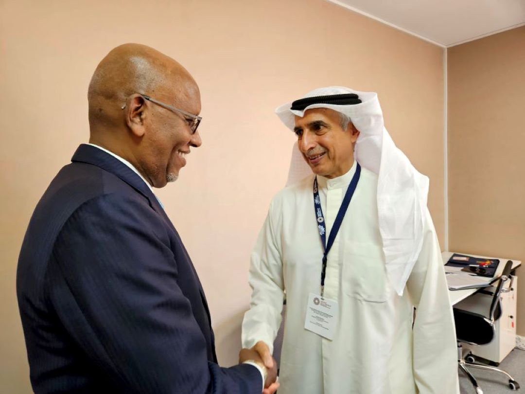 A Marrakesh, le ministre Ilyas Moussa Dawaleh s' entretient avec le directeur général du FADES