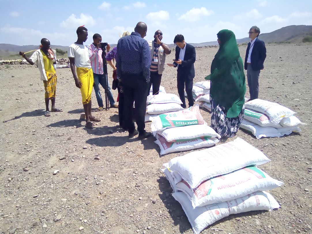 Ali-Sabieh : don d’alimentation de bétails offert à des dizaines de familles des zones de brousse