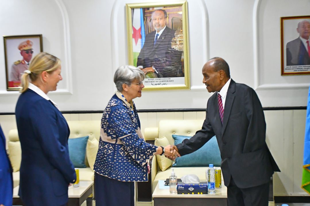 Le ministre de la Défense reçoit en visite de courtoisie la présidente du comité Politique et Sécurité de l’UE