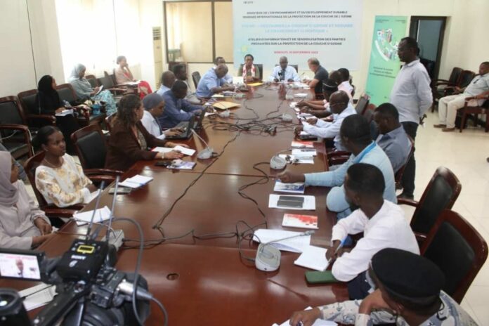 DJIBOUTI CELEBRE (1)
