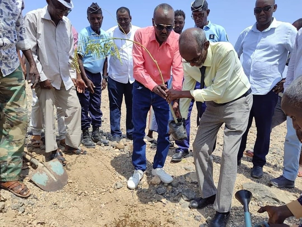 La région d’Arta lance sa campagne de plantation d’arbres