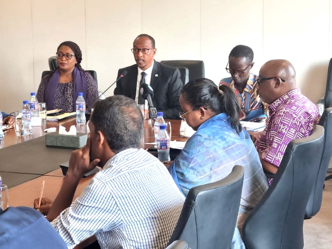 Lancement et mise en œuvre du plan d'action du schéma directeur national du secteur informel