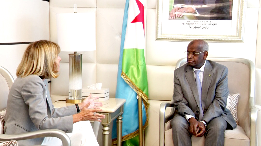 Mme Anne Lauvergeon reçue par le Premier ministre Abdoulkader Kamil Mohamed