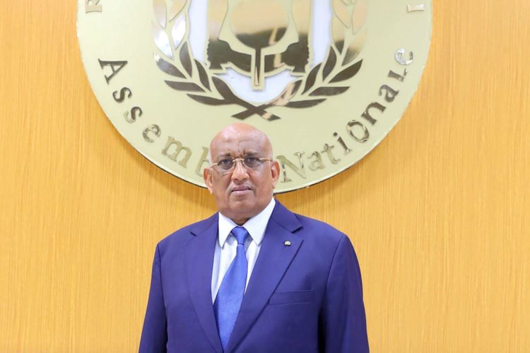 REVUE DE PRESSE : « Le président Guelleh a plus de deux ans pour nommer et former son dauphin »