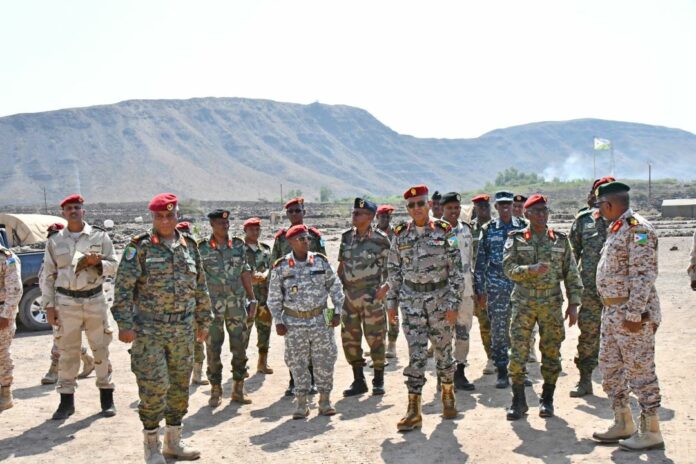Tournée d’inspection du Chef d'État-Major Général des Armées (1)