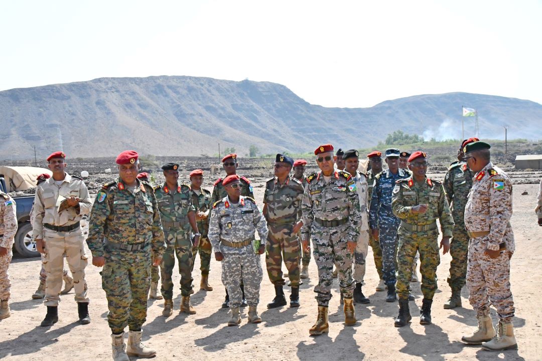 Tournée d’inspection du Chef d'État-Major Général des Armées