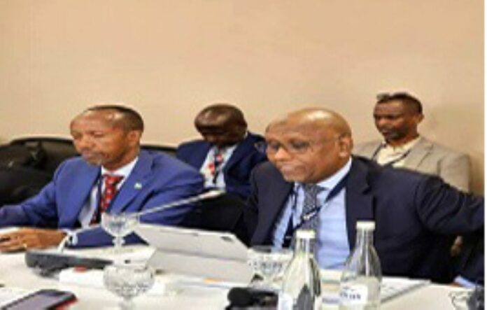 Une délégation djiboutienne participe aux assemblées annuelles conjointes