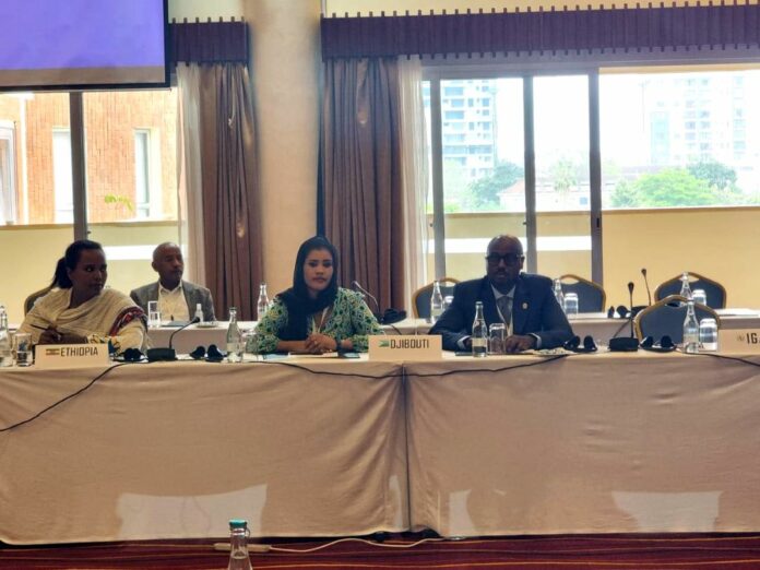 Une délégation parlementaire djiboutienne participe à la 5ème Assemblée (2)