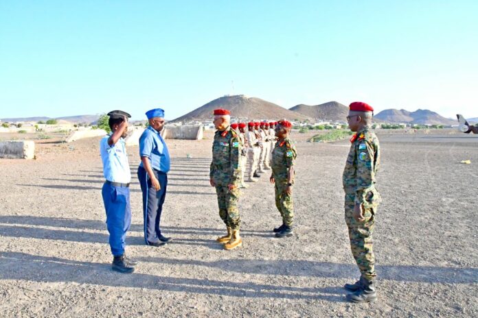 Visite de terrain du CEMGA dans la région d'Ali Sabieh (2)