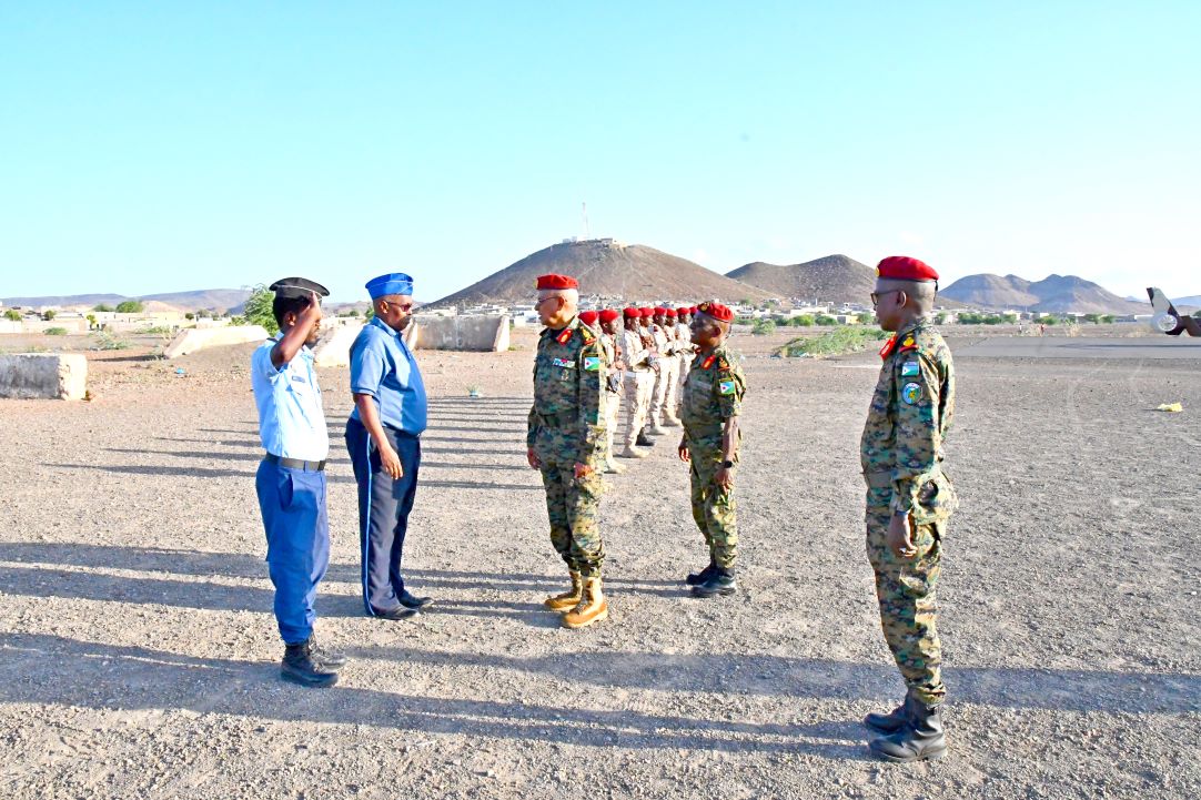 Visite de terrain du CEMGA dans la région d'Ali Sabieh