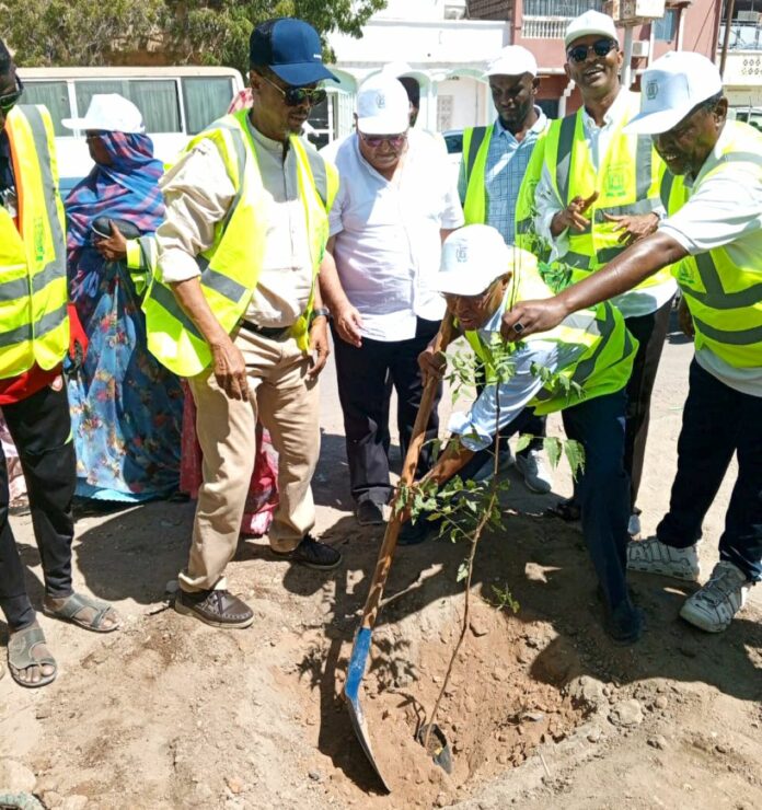 compagne de plantation