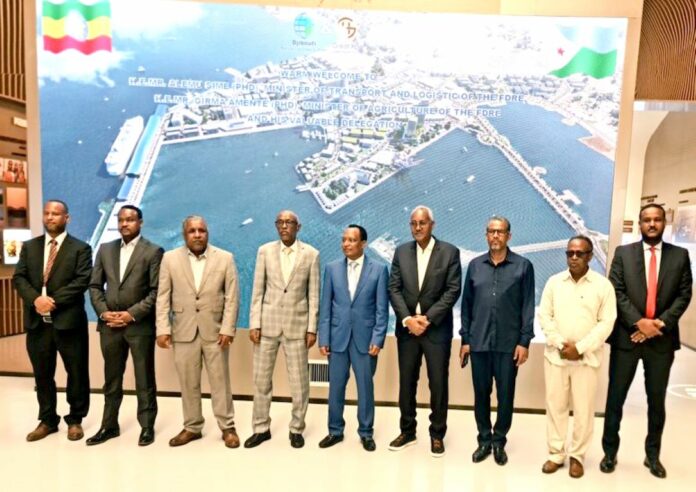 Djibouti et l’Ethiopie conviennent d'intensifier leurs efforts pour une