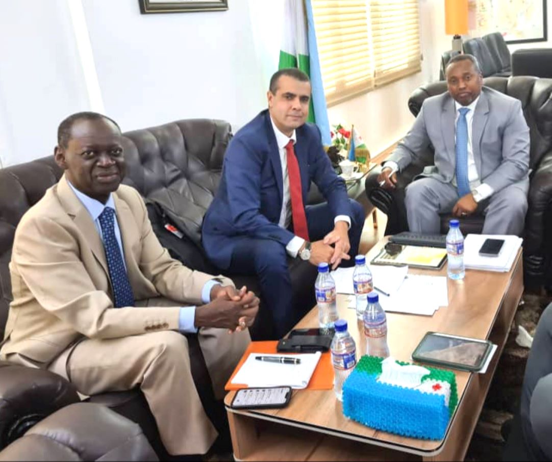 Entrevue entre le ministre de l’Energie et une délégation de CWP Global : En vue de la concrétisation du projet de production de l’hydrogène vert dans notre pays