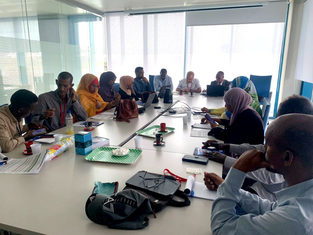 MAEPE-RH/FAO - Développement d’une stratégie phytosanitaire nationale pour Djibouti