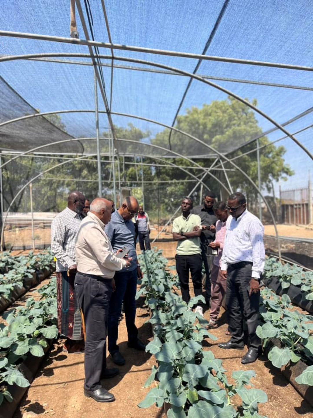Le ministre Kassim Haroun Ali se rend sur le terrain pour s’enquérir de l’état d’avancement du projet d’hydroponie du Day