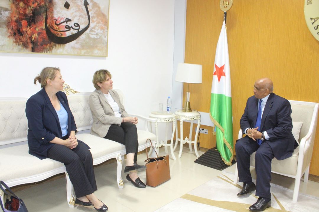 Le président de l’Assemblée Nationale reçoit la sénatrice des français établis hors de France, Samantha Cazebonne