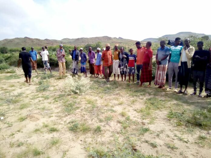 Région d’Ali-Sabieh Des agriculteurs d’Assamo formés sur les techniques de (1)