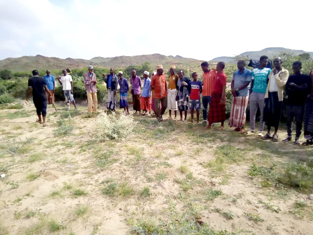 Région d’Ali-Sabieh : Des agriculteurs d’Assamo formés sur les techniques de la culture maraîchère