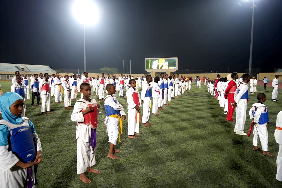 Soirée des Arts Martiaux : Un spectacle original pour un événement unique