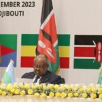 41eme-Session-extraordinaire-des-pays-de-lIGAD-2