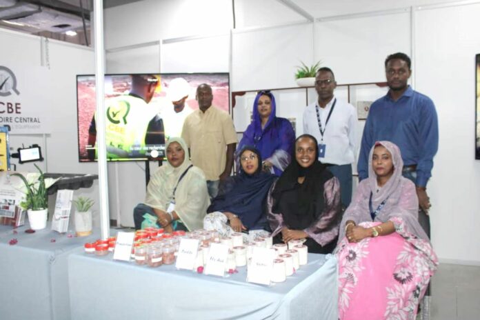4ème journée de la Foire Internationale de Djibouti (1)