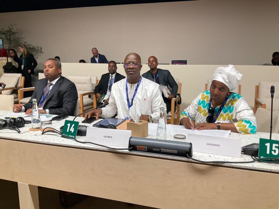 COP28: Journée thématique dédiée à l'énergie