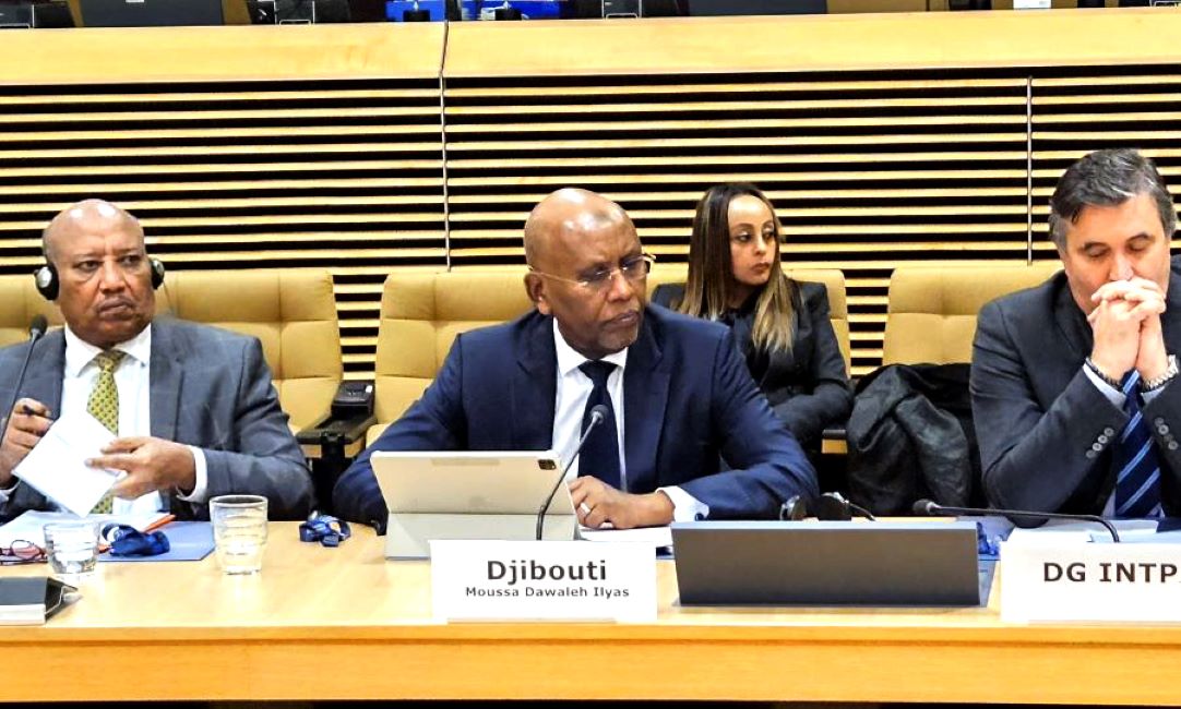 Djibouti représenté par son ministre des Finances au 19e sommet ministériel de l'Initiative pour la Corne de l'Afrique à Bruxelles