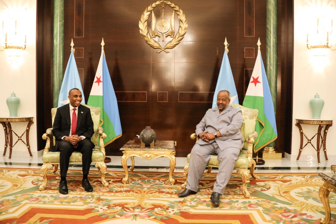 Le Président de la République reçoit le Premier Ministre somalien