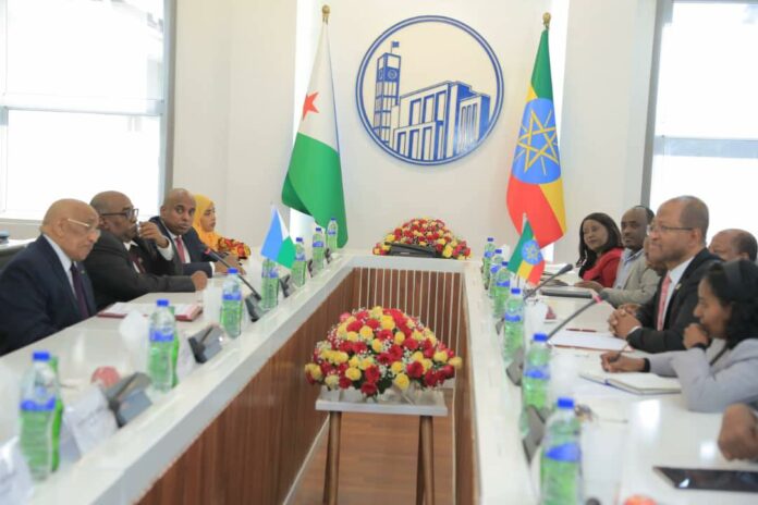Le président du parlement djiboutien reçu à Addis-Abeba par son homologue éthiopien (1)