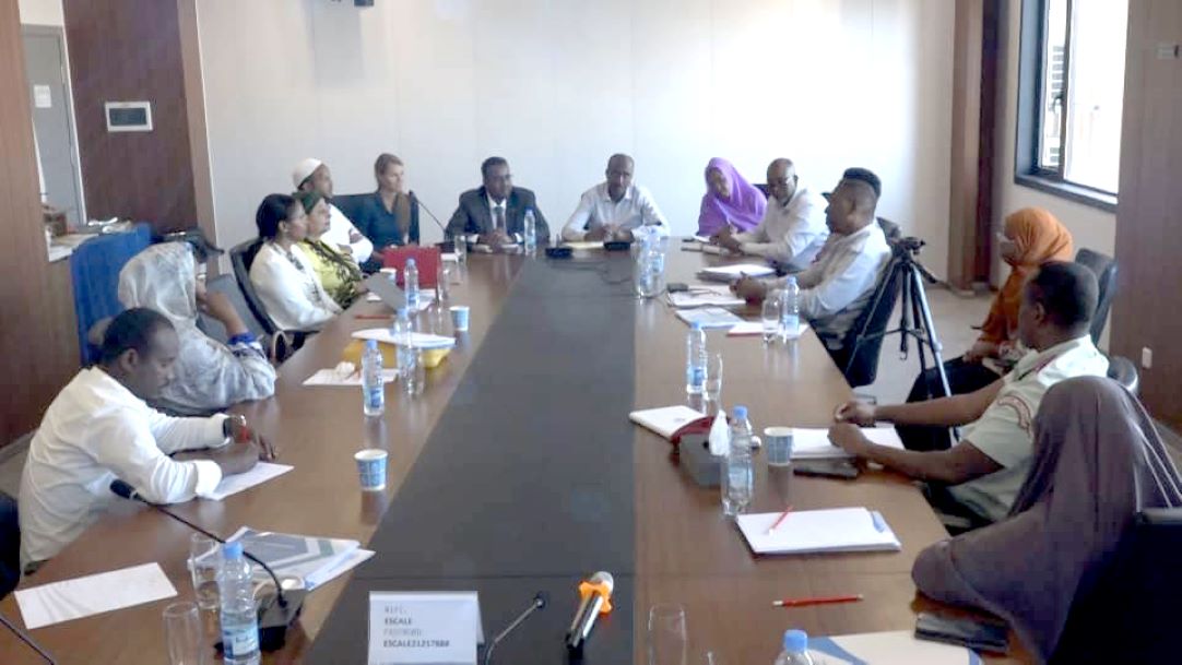 Mise en œuvre de la stratégie de santé mentale en république de Djibouti