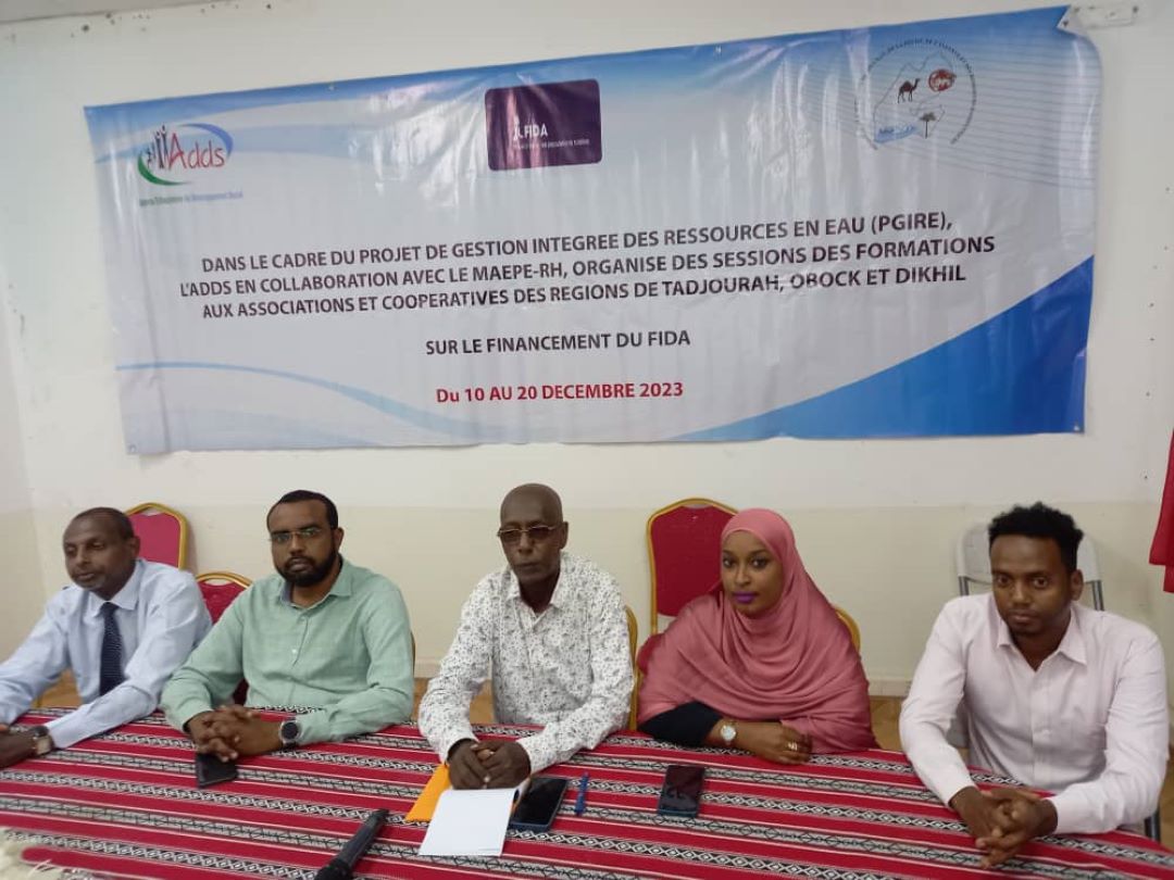 Mise en œuvre du projet GIRE : Des opportunités de créations d’AGR à Dikhil