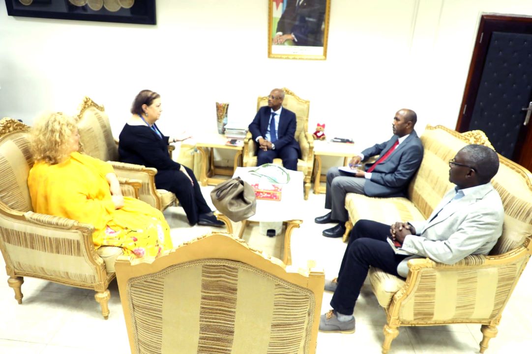 La directrice région de l'Unicef reçue par le ministre de la santé
