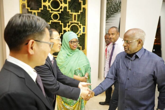 Soirée culturelle placée sous le signe de l’amitié sino-djiboutienne (1)