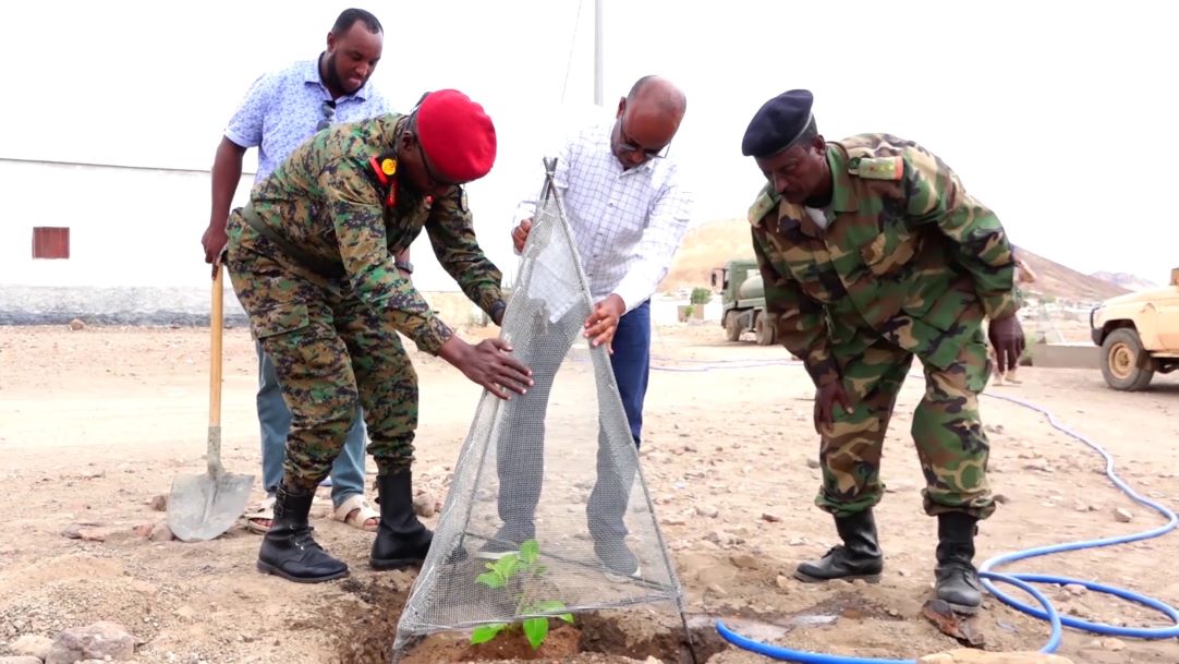 Ali-Sabieh : Deuxième campagne de plantation d’arbres