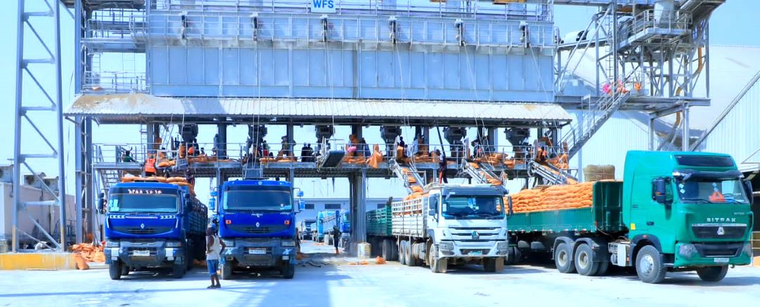 DMP confirme encore une fois son expertise dans la manutention du vrac solide