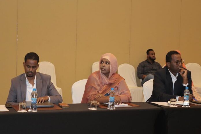 Djibouti forge un avenir sans féminicide (2)