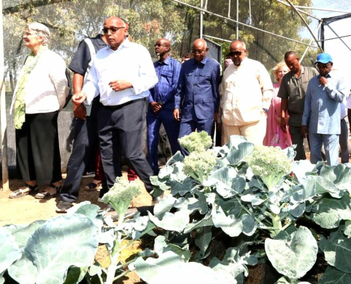 Inauguration de la ferme hydroponique à Day (2)